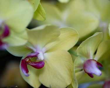 Image 78